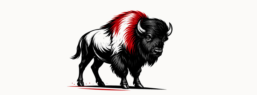 comprar carne de Bisonte